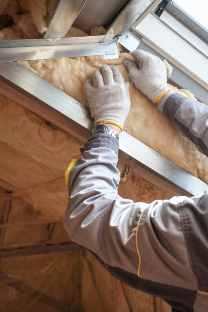 Types of Insulation We Offer in Belton, SC