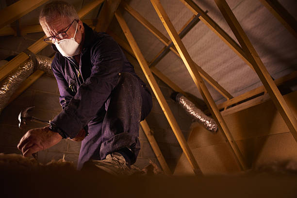 Trusted Belton, SC Insulation Contractor Experts